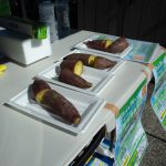 蒸かしイモ　231023 (1 - 1)